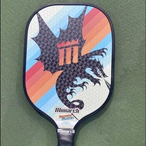 New pickleball paddle